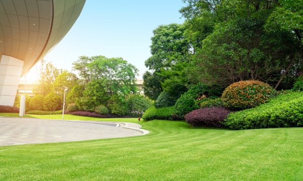 Cost of Commercial Lawn Mowing in Marysville