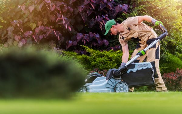 Yard Care Service in Marysville