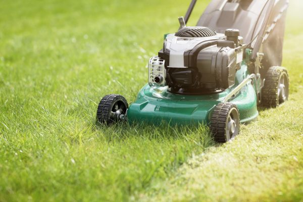 Yard Cutting in Marysville