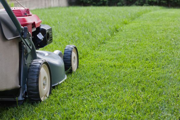 Residential Lawn Care in Marysville
