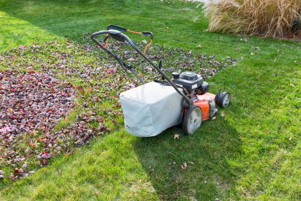 Seasonal Lawn Care in Marysville