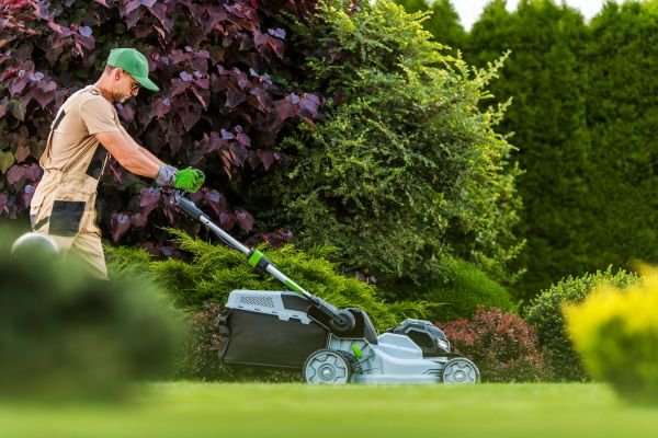 Lawn Management in Marysville