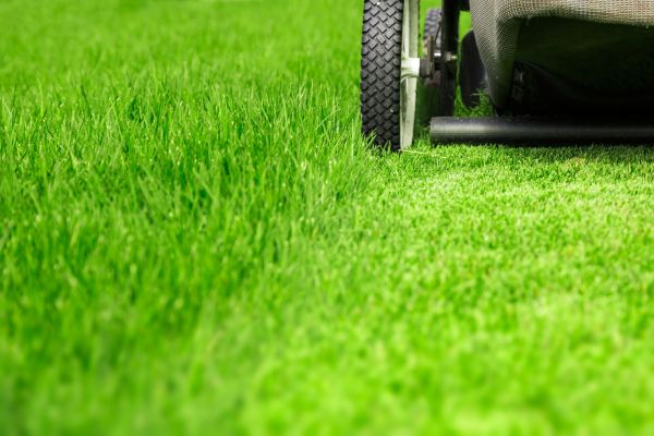 Weekly Lawn Care in Marysville