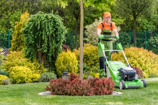 Cost of Commercial Yard Maintenance in Marysville