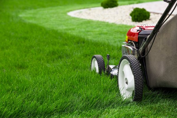 Lawn Trimming in Marysville