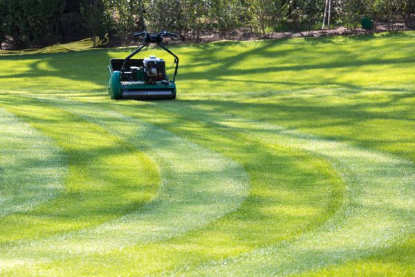 Cost of Business Lawn Mowing in Marysville