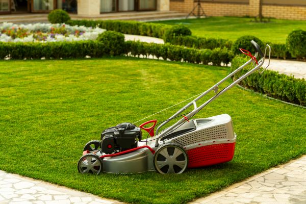 Cost of Business Grass Cutting in Marysville
