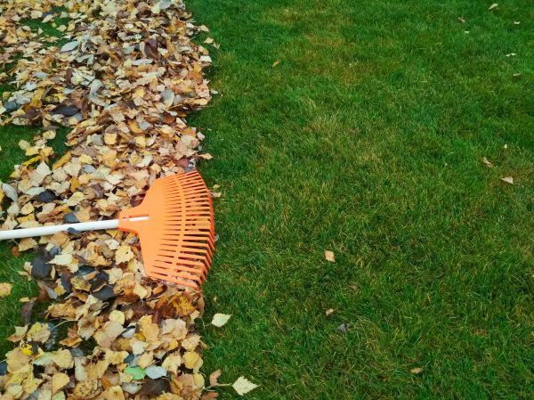 Fall Lawn Care in Marysville