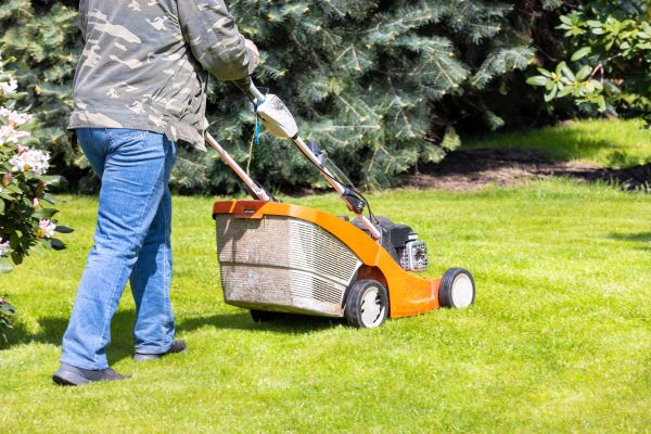 Cost of Springtime Lawn Care in Marysville