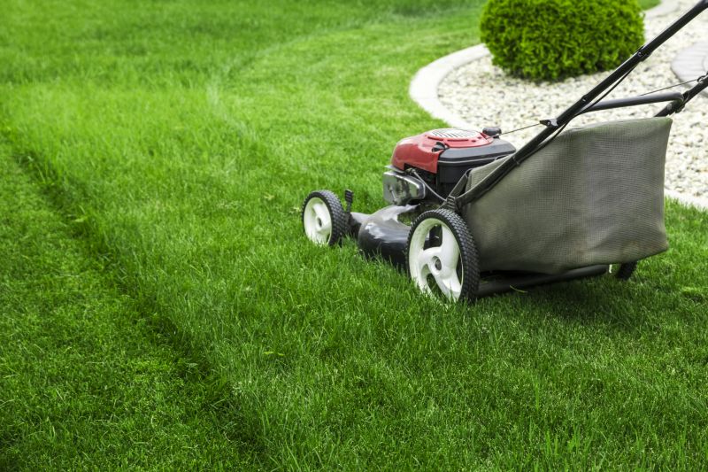 Lawn Maintenance