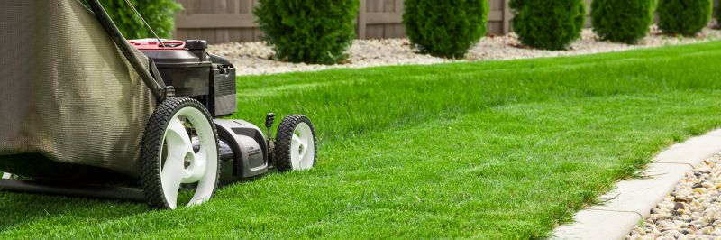 Lawn Mowing Edging
